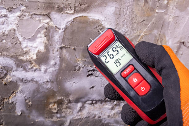 Best Mold Testing and Inspection Services in West Columbia, TX