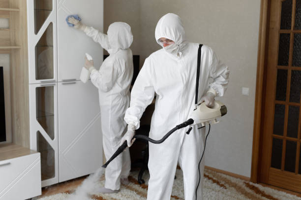 Reliable West Columbia, TX Mold Remediation Solutions